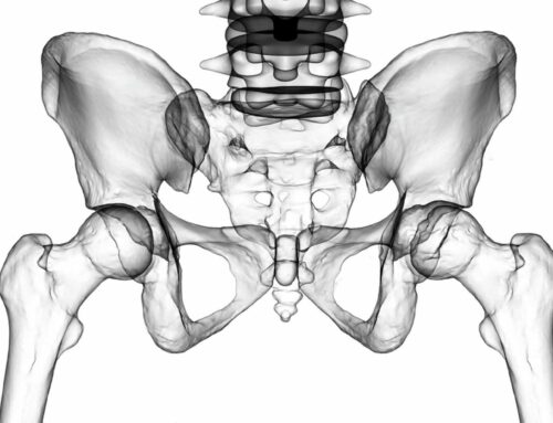 Paediatric Hip System: An Overview